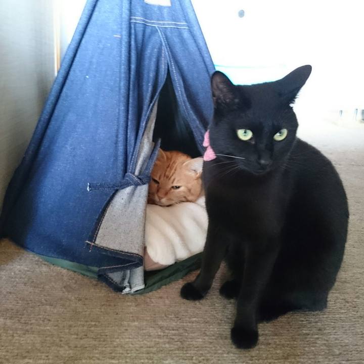 6f55b2f2 80ba 47ac a38d 9359a792ec03 1522108348618