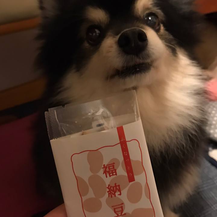 6f55b32b 277b 4725 bf7e ca08ff2eee0f 1612349984978