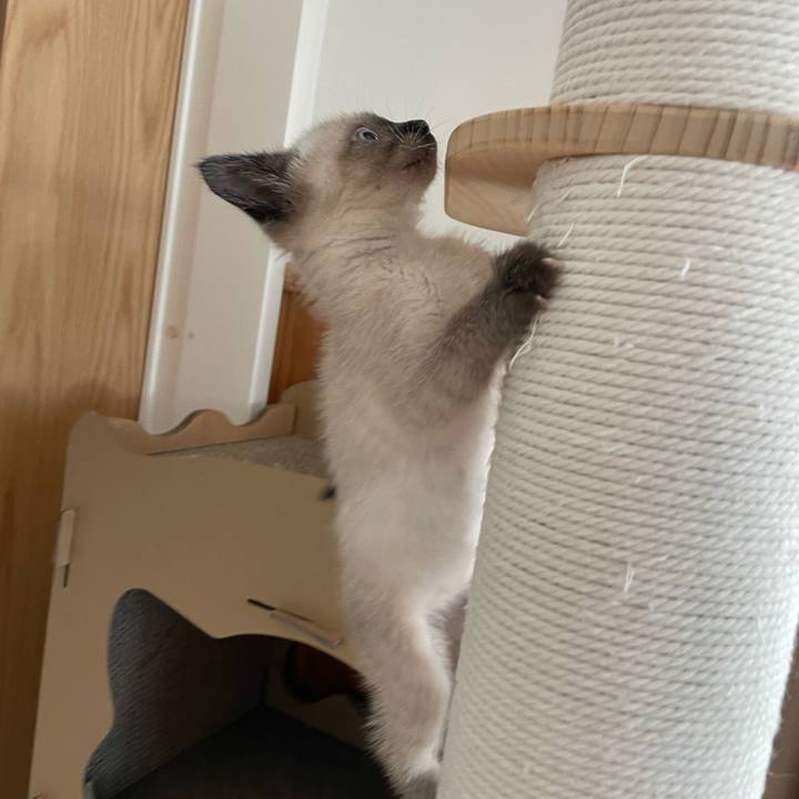 6f562bec 5157 4cd0 b1dd 56c5c93036f9 1687470647454