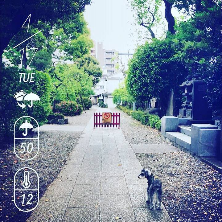 6f5631dd 93b9 4708 9a46 6bbeecfa3d57 1523917539043