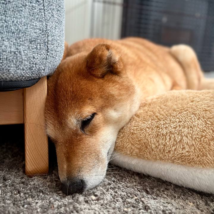 6f563bf3 ad81 4205 b67d dd381b620d70 1772766200703