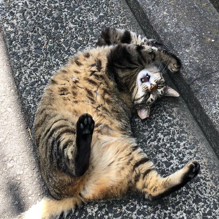 6f566cea cee9 4759 80b4 d527d47c1945 1528981885061