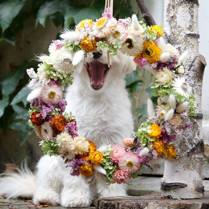 6f567146 8427 4f0c a393 41fcaee8ed68 1757312842958