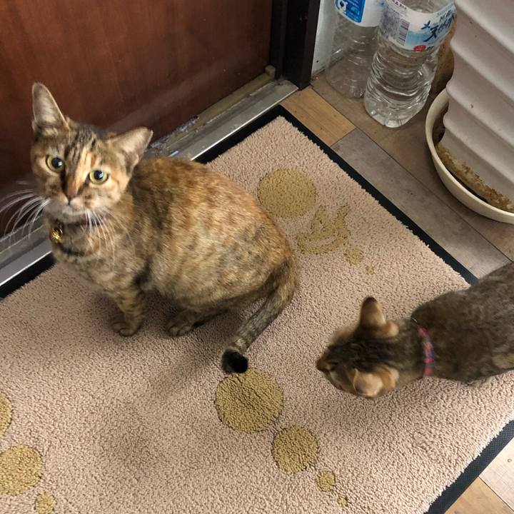 6f56874c b08d 4297 9299 dd123c454e95 1604570552454