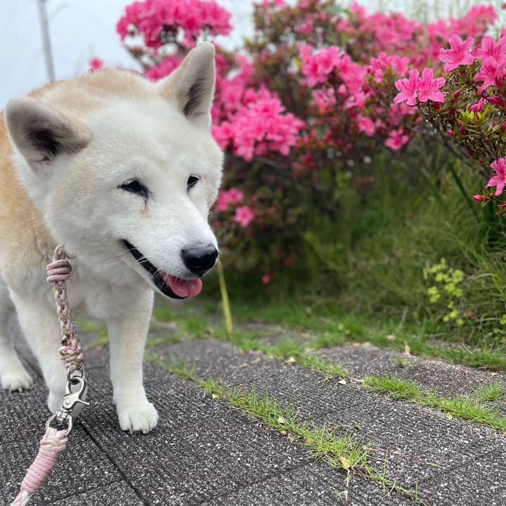 6f569a16 c1ed 42bc 9d84 9ef2b01a0d58 1716149947228