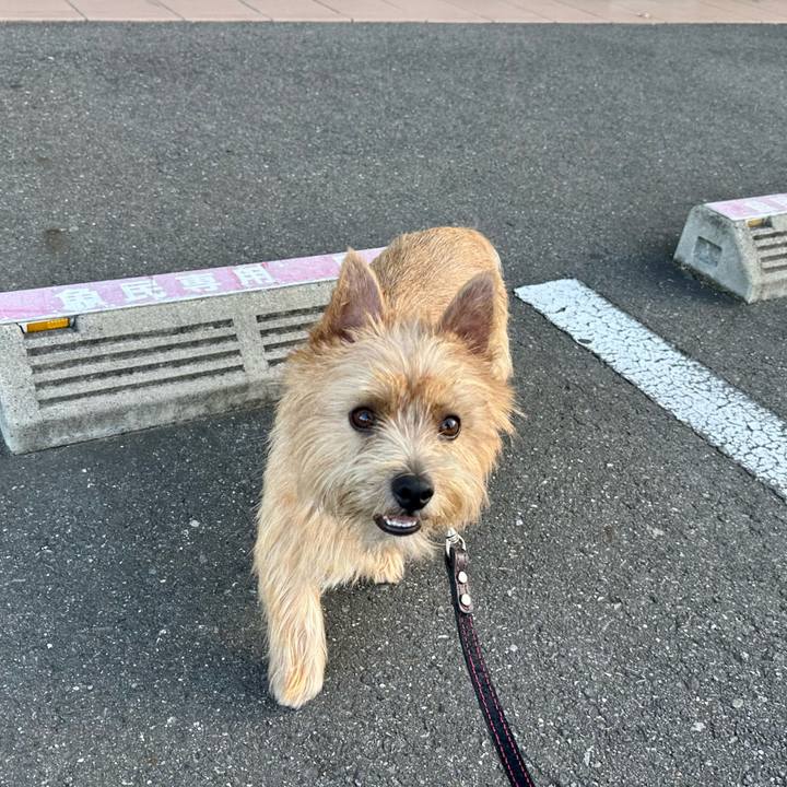 6f56bed5 0480 440b 9fe0 5e00c4b42ff7 1757912936603