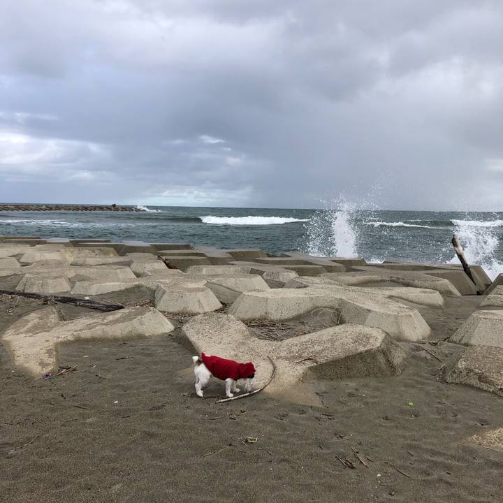 6f56dce6 0110 4e9a a367 b239fb1e2554 1601162463304