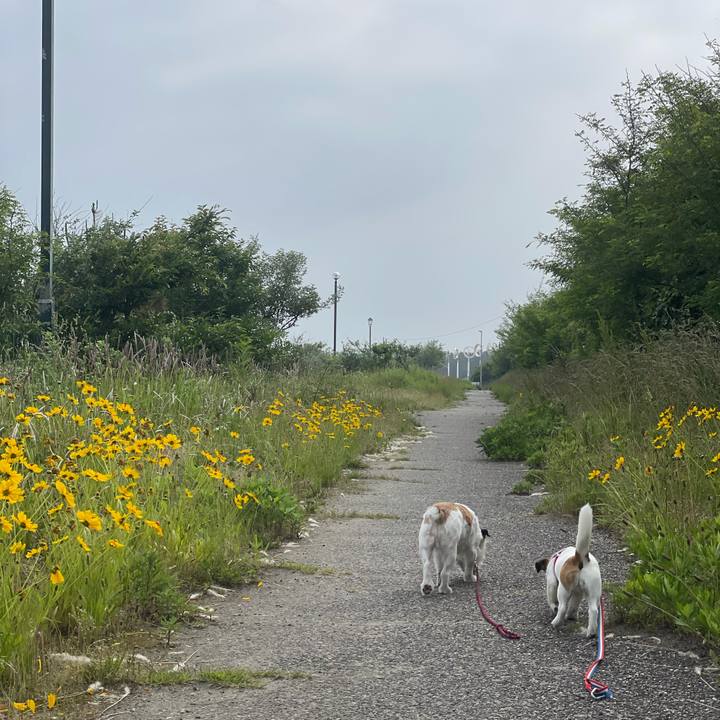 6f5707e3 5d73 4cd3 97e9 6cefa8583faf 1623194768352