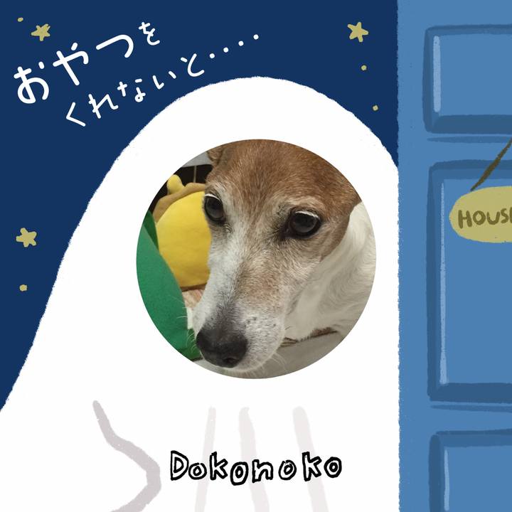 6f571553 705d 430a bbb1 496b2f033040 1729084603411