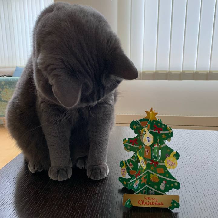 6f571630 b468 4c16 8674 7ea036b6f257 1640395018602