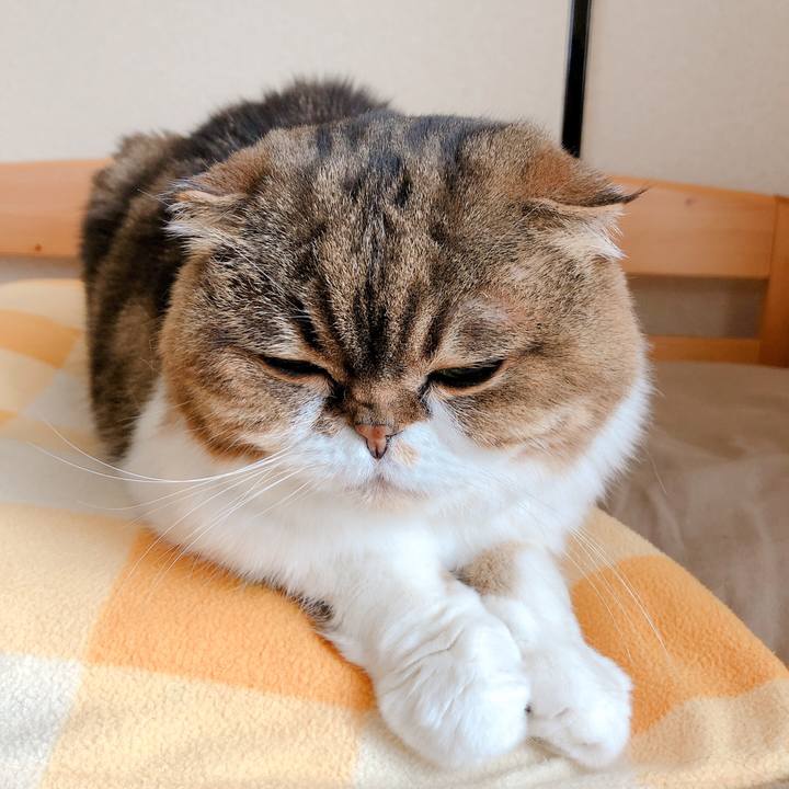 6f575ae9 b90c 42b5 81ac 42801bcb3376 1585372362131