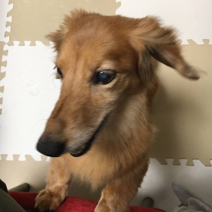 6f577e58 6c57 43f6 814d 29ee91799028 1624363053039