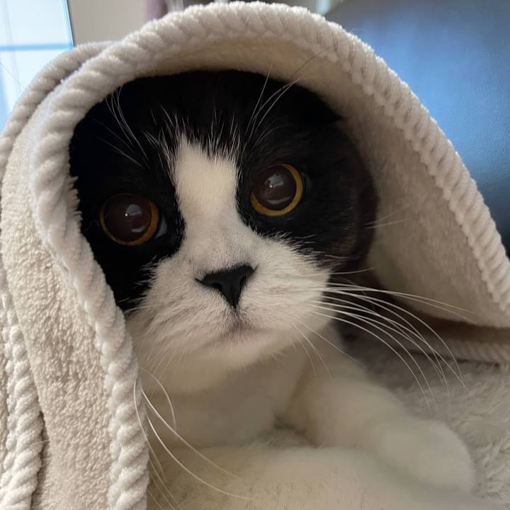 6f577f32 1ecb 421a 9efb f88b14e1dd14 1758636970784