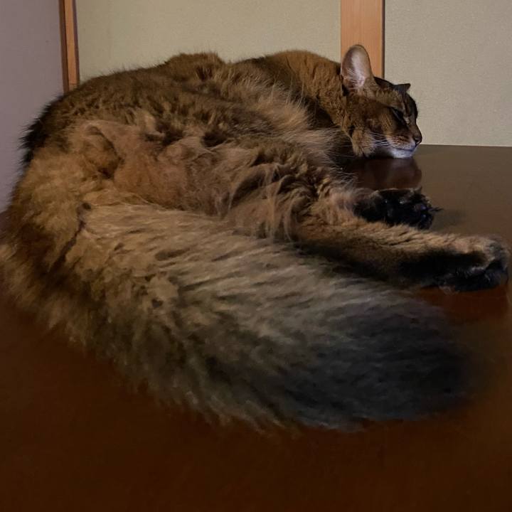 6f57add9 115a 4246 986e 07489b0bdf1a 1658467989820