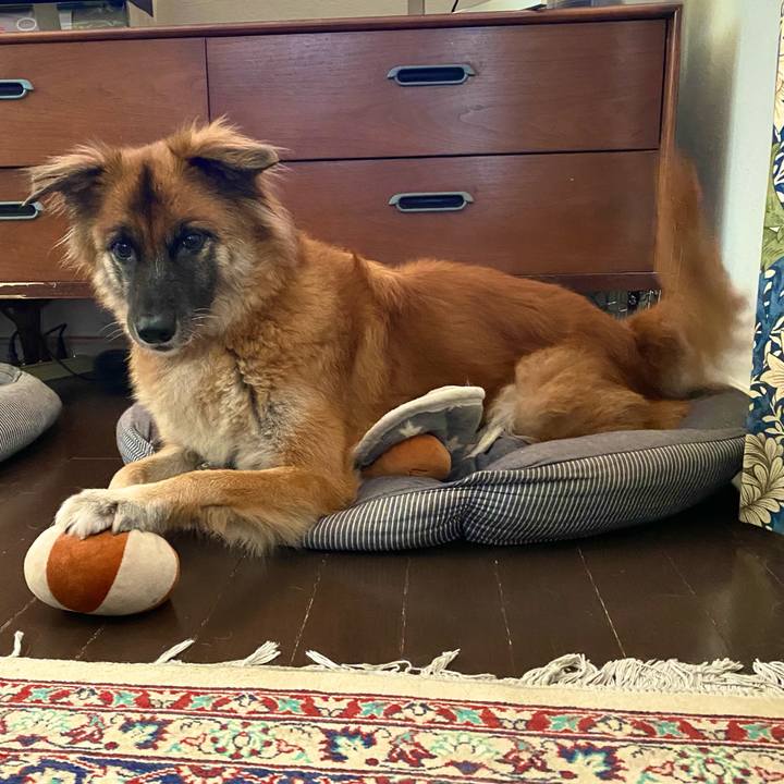 6f57bad4 214d 4dd2 8f72 dc2fd480f841 1755741876963