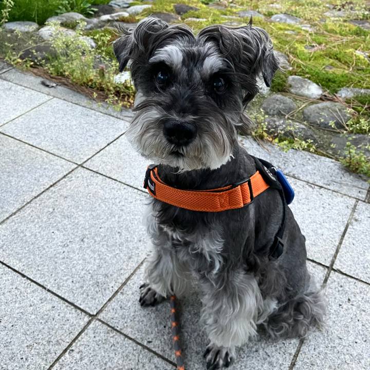 6f57d0fe 3d60 44c5 808f 269280a5d3e9 1745325414689