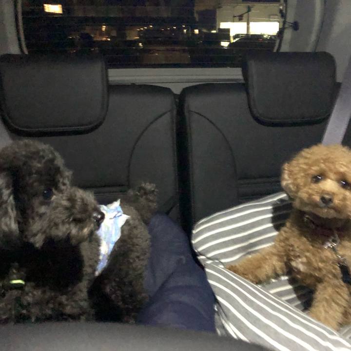 6f580033 4421 4754 8120 592e209ed4d1 1581986700188