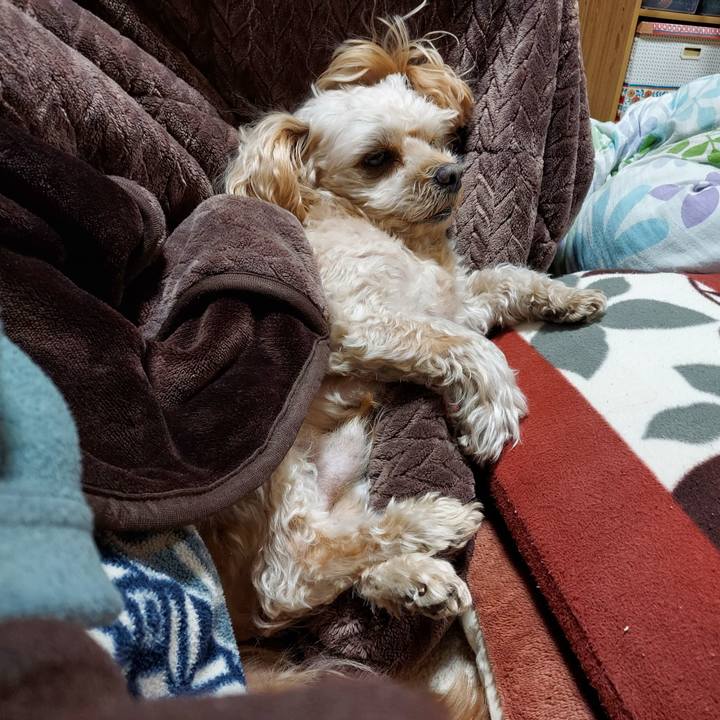 6f581240 b217 4c4e 92f8 6e7ee4aa0ee2 1671795622608