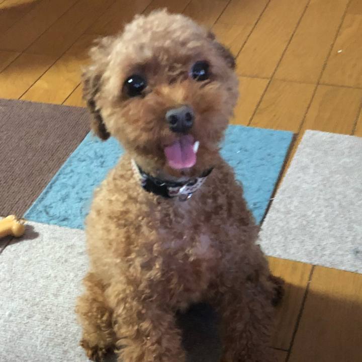 6f581bd6 12bd 4cbe abdb ebe0d27295cc 1535161828601