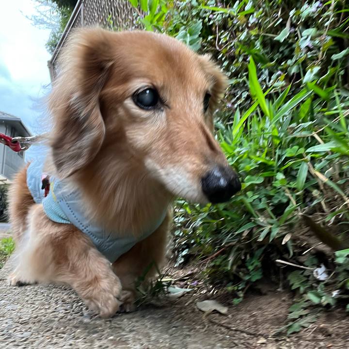 6f583732 5e5d 4872 97d8 5b0d78d568b6 1681127091942