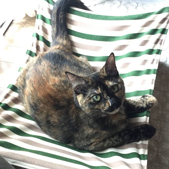 6f58755d d366 449f 9140 eb831f0429dd 1600745367953