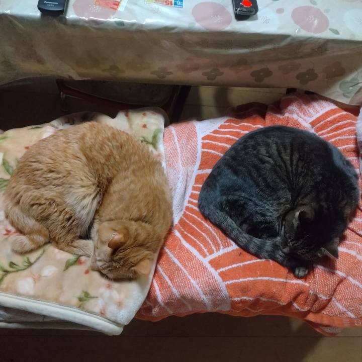 6f5876f0 6c2b 4812 bd9c 9b04be969ac6 1740301895209