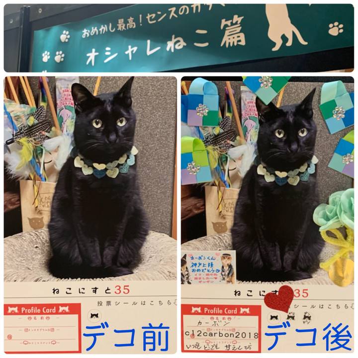 6f5894de 2ef8 4441 90f4 ea02ad94e2d6 1622787745511