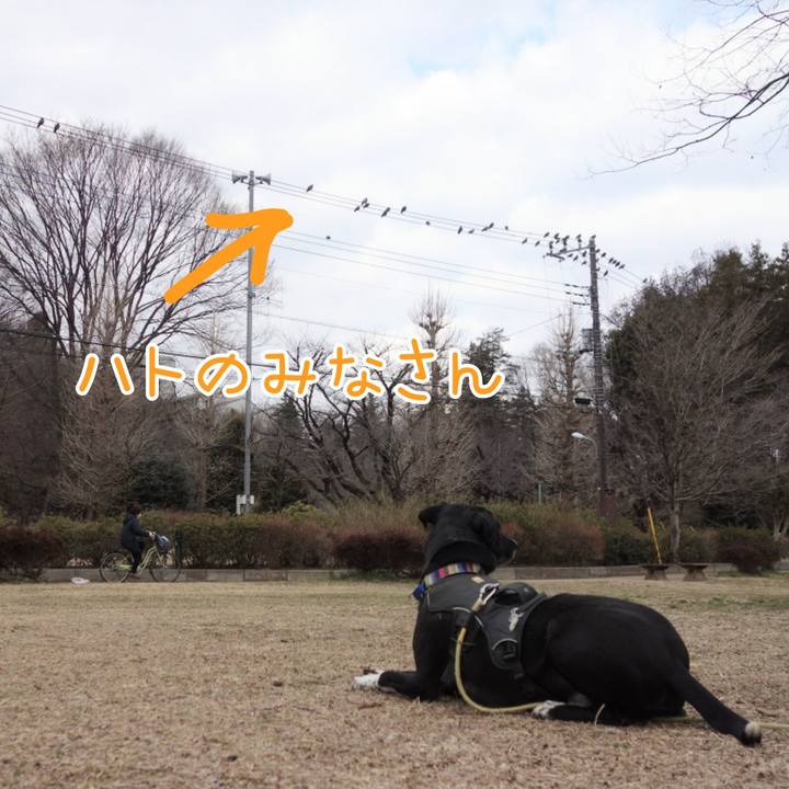 6f590bff 7a8b 483c b80e 9e9aa6f5c4e2 1646357845016