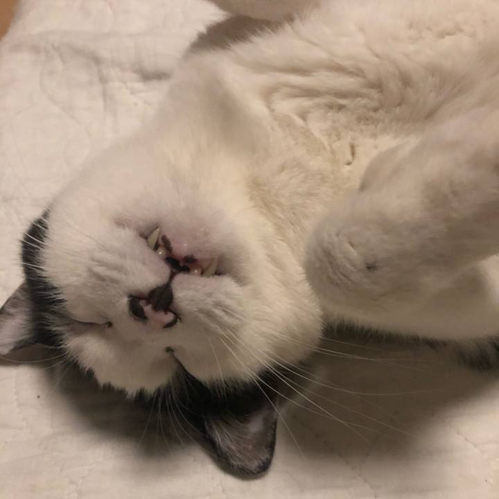 6f593a2c 712c 48b0 882b 0ee24d9a732c 1609695592218