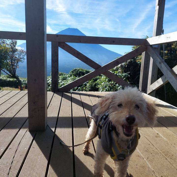 6f593e0e 0a40 42d8 9554 5e511ae6610f 1693624658236