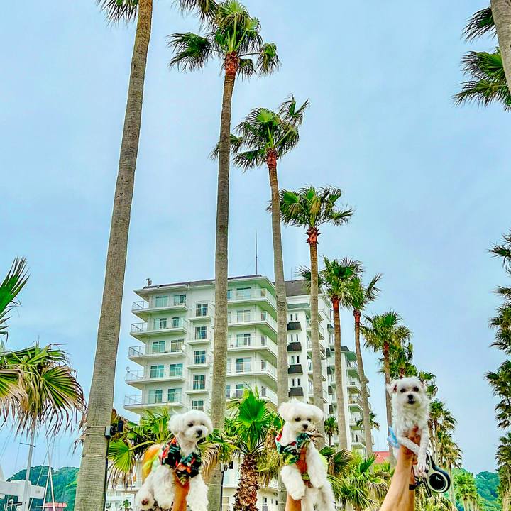 6f59674a 49be 46c1 96b8 ffa50ba062e8 1687246424856