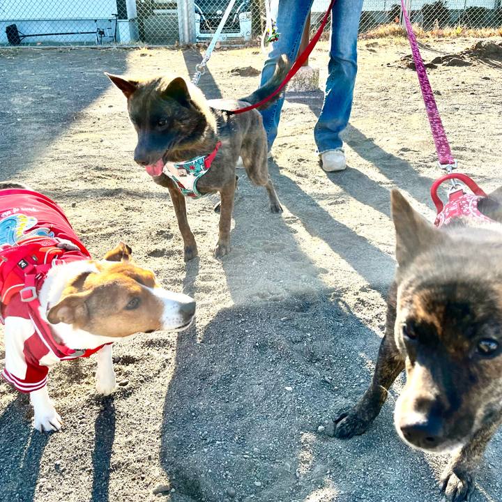 6f5973a9 a30f 4d62 b394 e89be111d780 1735711685278