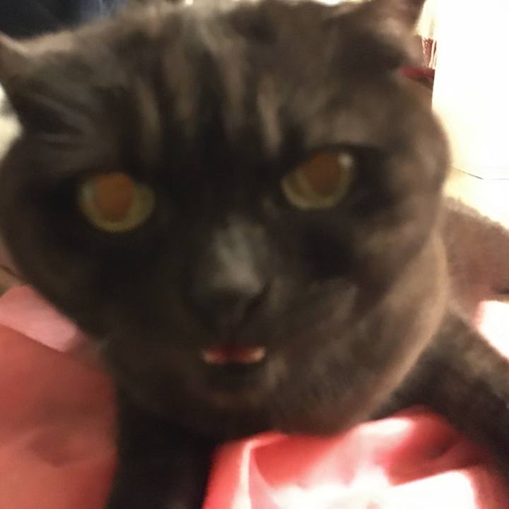 6f597ca4 f427 40f4 bb02 2e5924f507f9 1582292005123