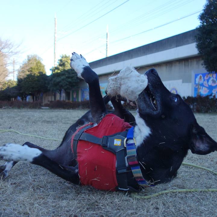 6f59b31b 70cc 4851 b3b5 65ef7c5597de 1641344808292