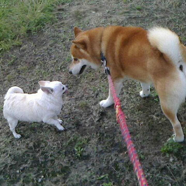 6f59f6ec a42c 4b70 a8d7 6fb76dfc5c5e 1562942633710