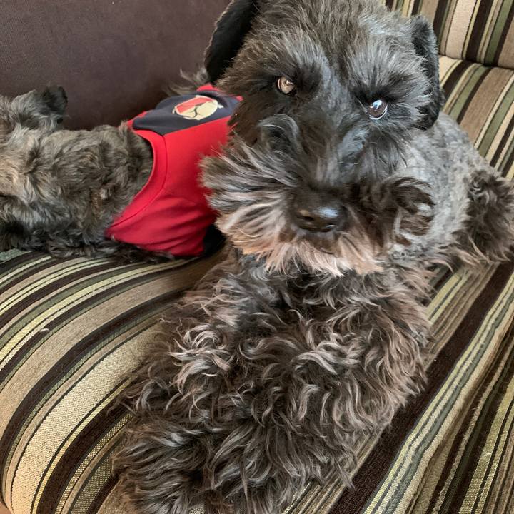 6f5a0f1b ff1d 4e00 9d88 28206f7f1720 1608939027887