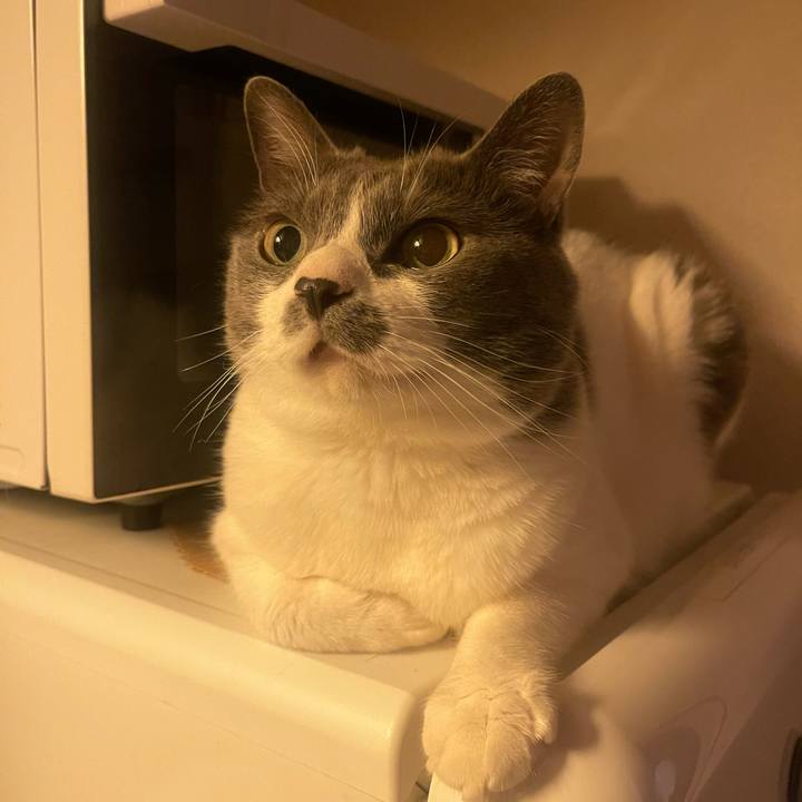 6f5a10ac 62ef 44bf a08c f482ae239a98 1750853585122