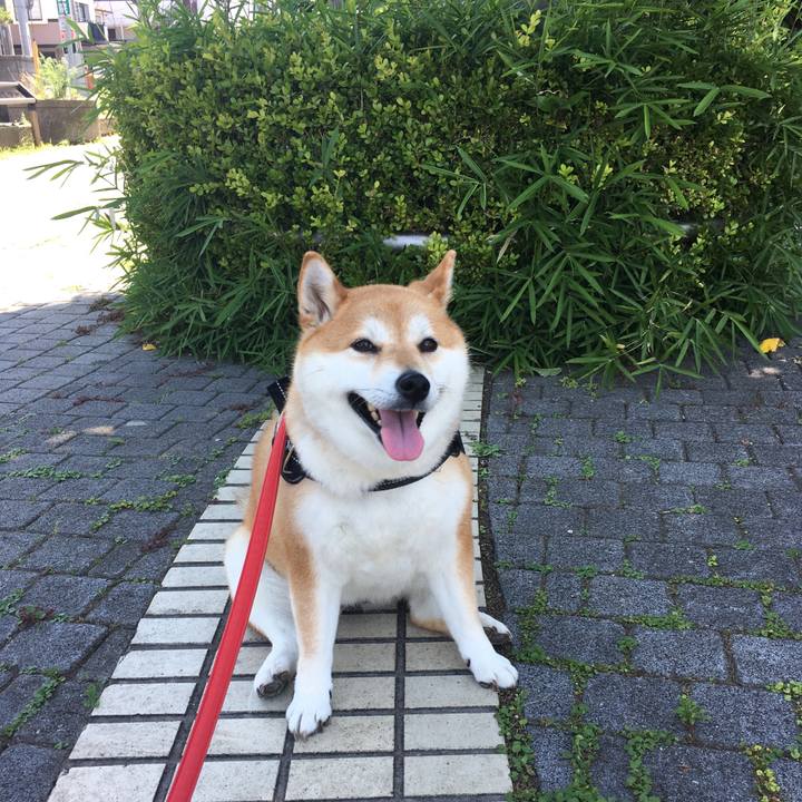 6f5a9b60 d53e 4115 90ff 33c5baf7de54 1592367776722