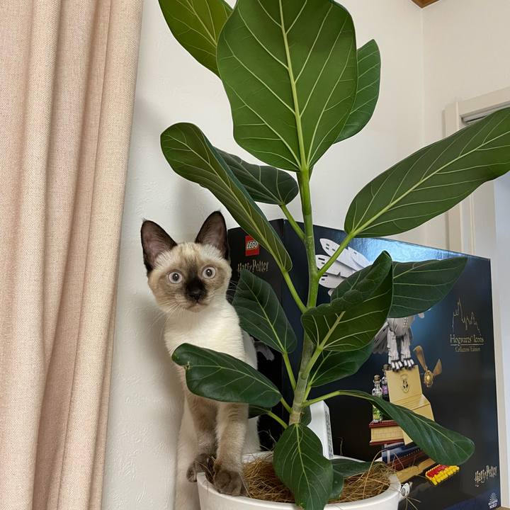 6f5ad2c0 bafd 4bd3 8800 cf94b06bc9d7 1692647105840