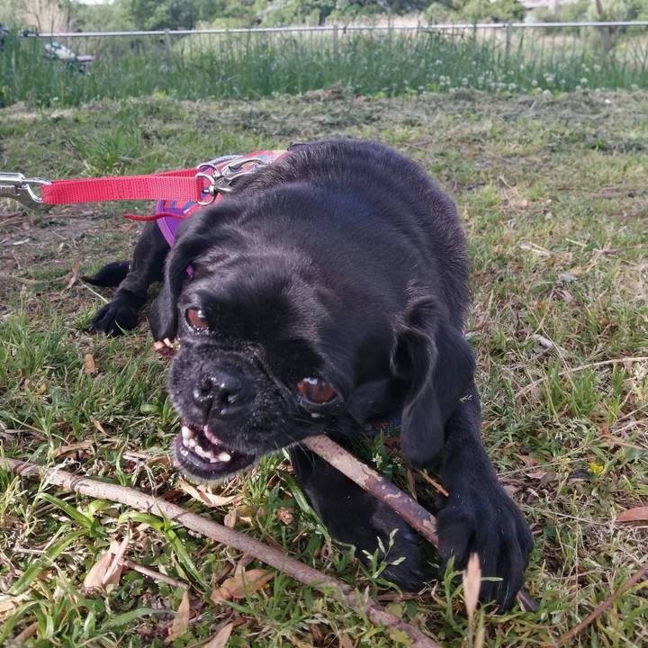 6f5aedbb d60d 45a4 b28b 0fceccbe566d 1589500654188