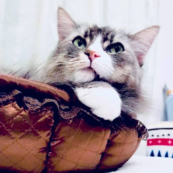 6f5b229b c47d 44c4 9e0b a7387b4aef1a 1762442611766