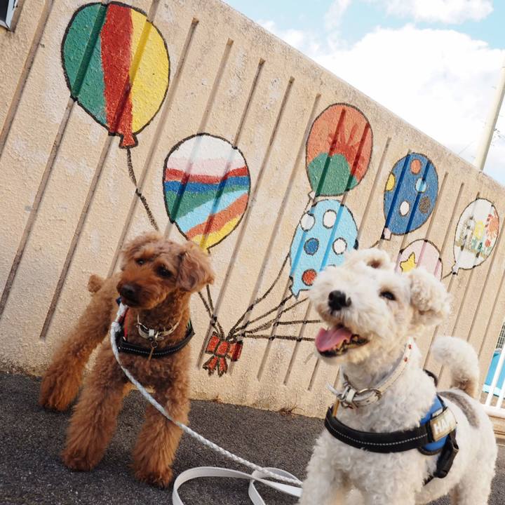 6f5b26b5 41f8 4515 9063 e96b5d916a63 1540893535710