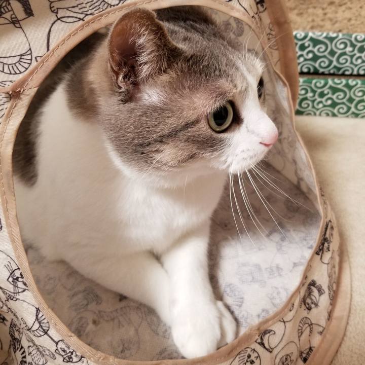 6f5b3c91 05e5 4926 9f62 9734f06687ac 1606488202305