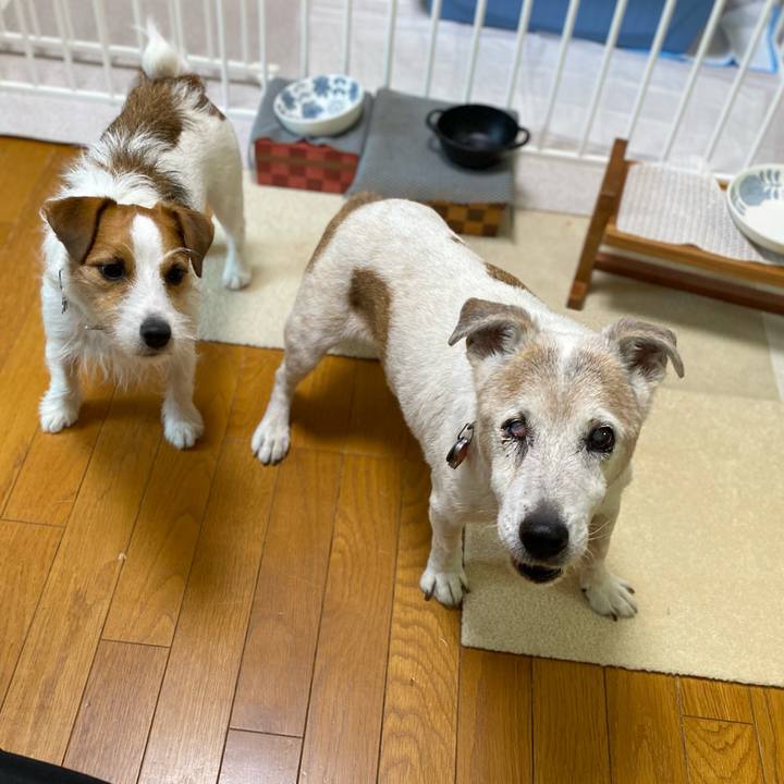 6f5b6044 4068 42fa 8570 cf2078c36e90 1719354291726