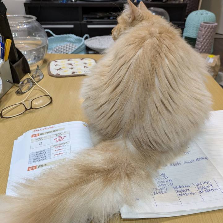 6f5b6ae5 2c97 47d1 bacb a2e1e2463a83 1749736549096