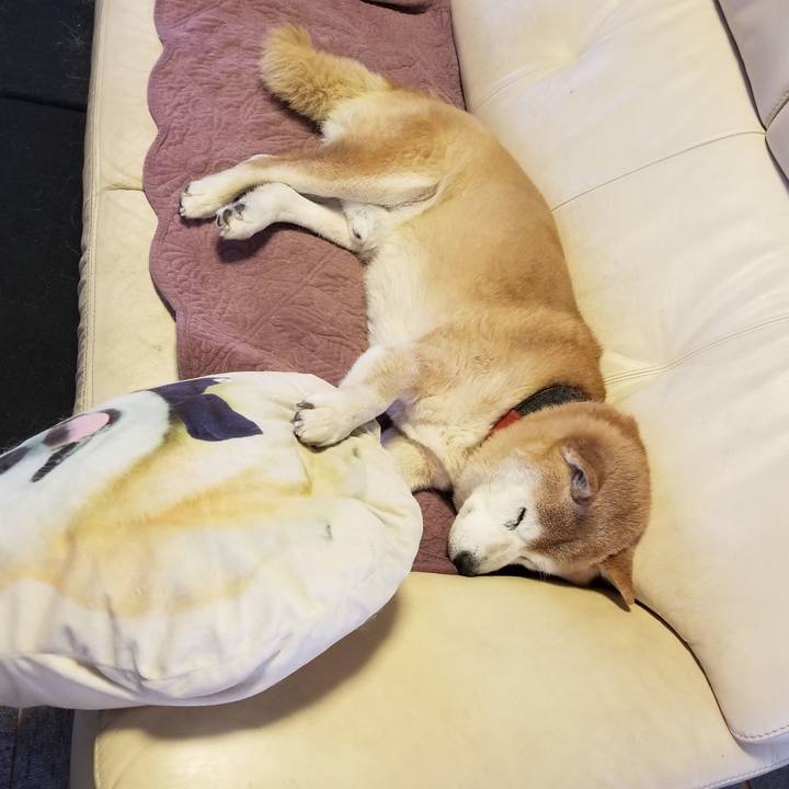 6f5bc761 c988 4896 9e37 8e7275785a78 1739144444101