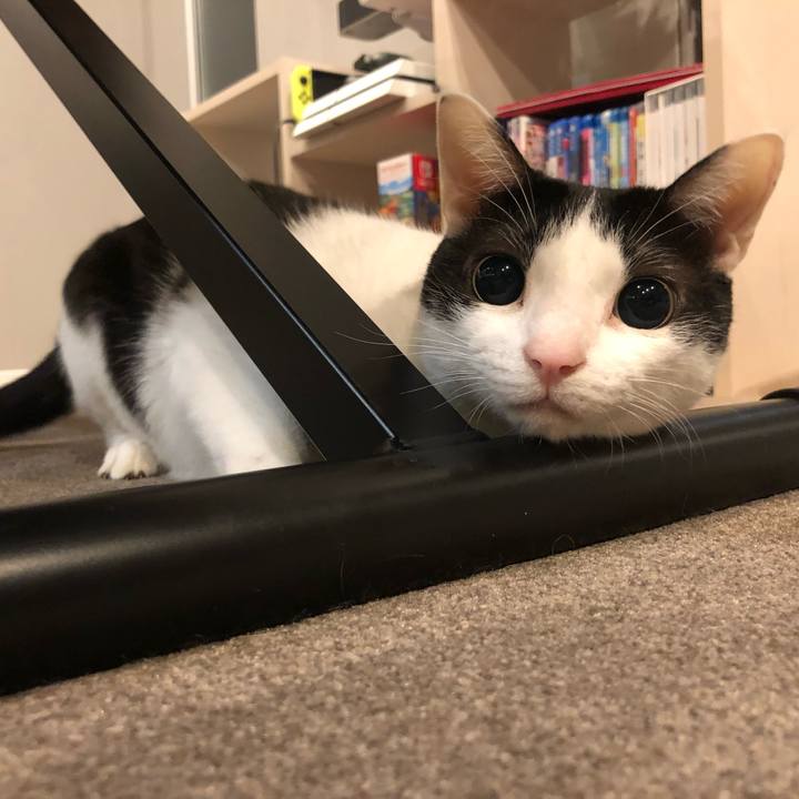 6f5bcbf5 e89a 46c4 a9c9 01db3429d8d6 1645608136997