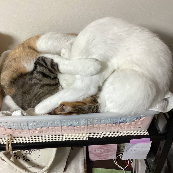 6f5bde8c 28f7 4230 8122 95fd30edab10 1645525653228