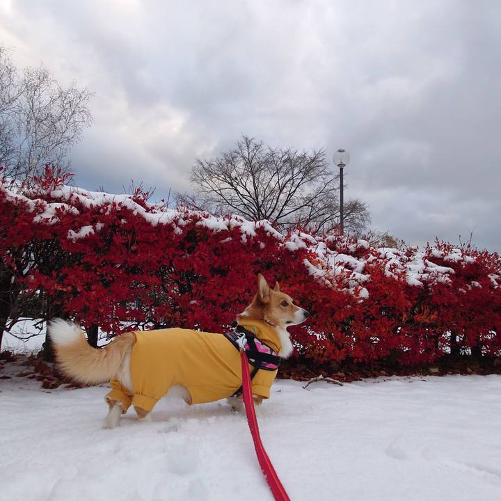 6f5be426 4b20 4d98 b503 c78595465bdb 1762903977611