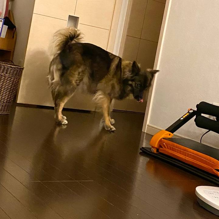 6f5be75c 5474 48cc b7da edafd5c24aa6 1761979966032